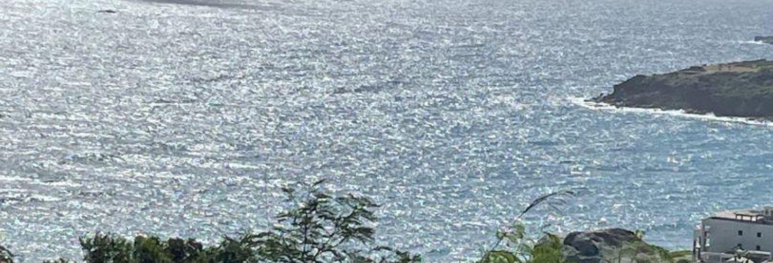 Terrain  1467 m² à vendre à Saint-Martin (65360)