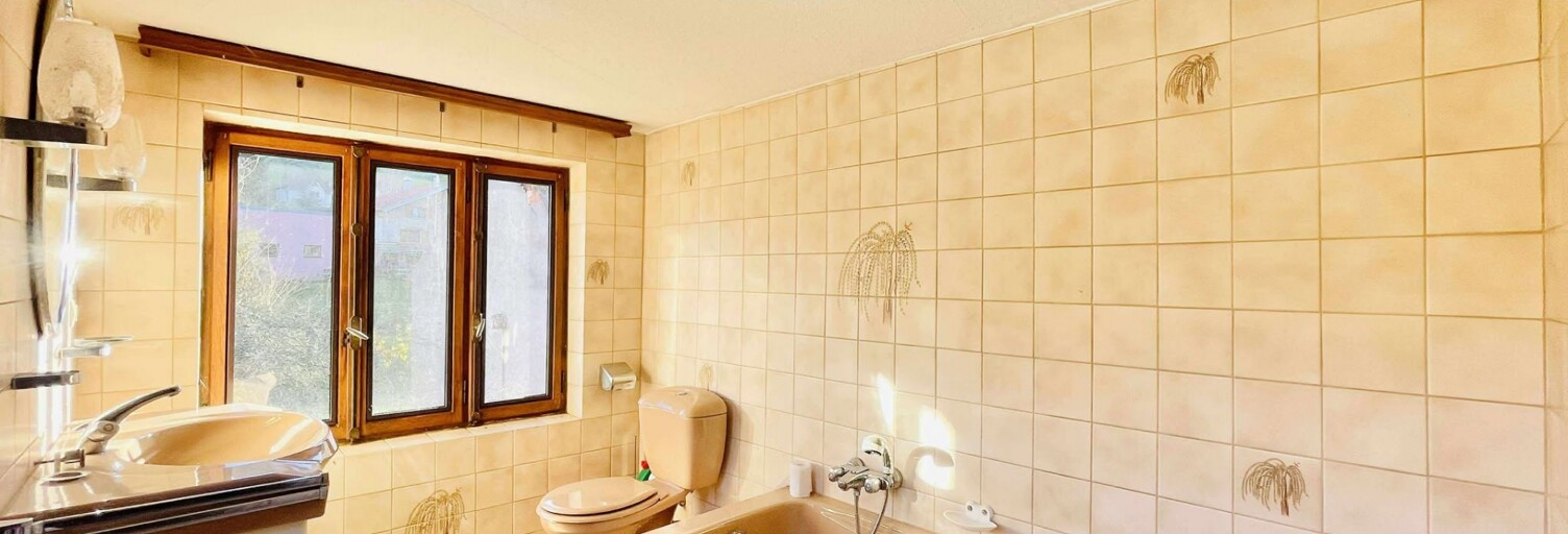 Maison 9 Pièces 143 m² à vendre à Walscheid (57870)