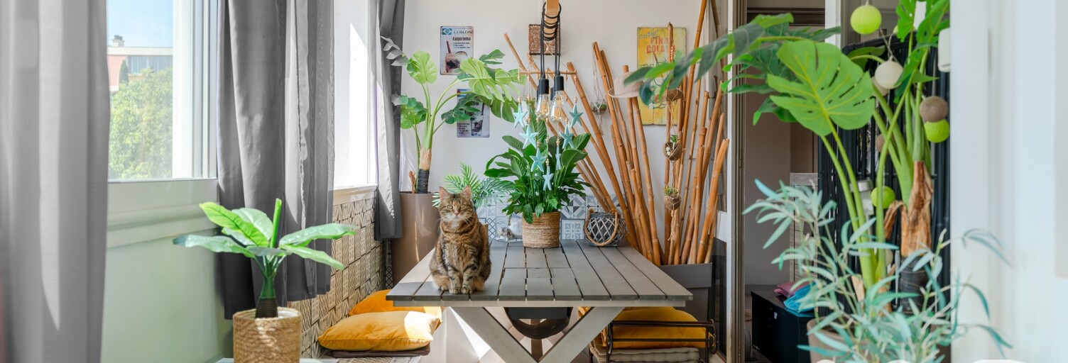 Appartement 5 Pièces 84 m² à vendre à Hyères (83400)