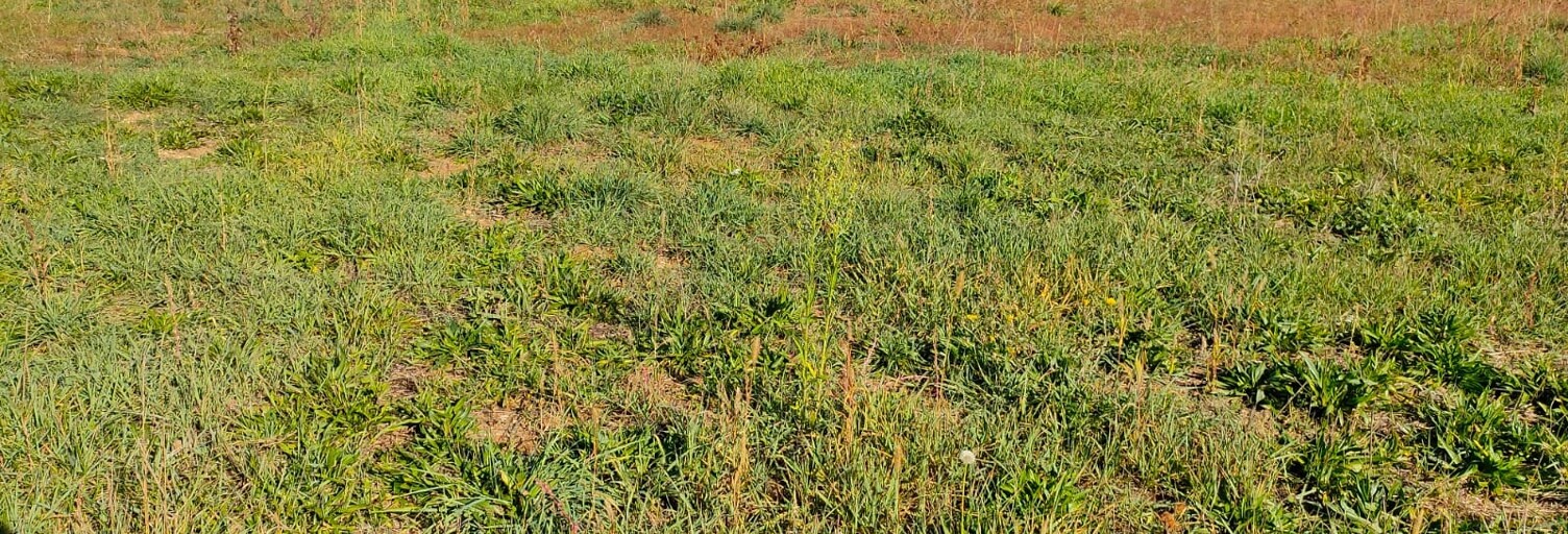 Terrain  550 m² à vendre à Saint-Quentin-la-Poterie (30700)