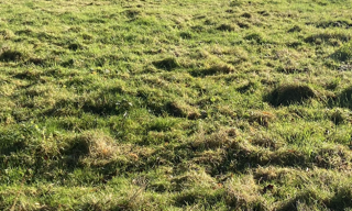 Terrain  5000 m² à vendre à Hauteville (62810)