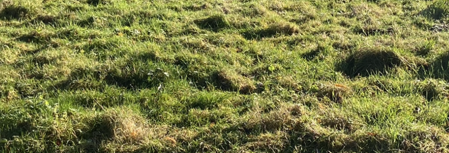 Terrain  5000 m² à vendre à Hauteville (62810)