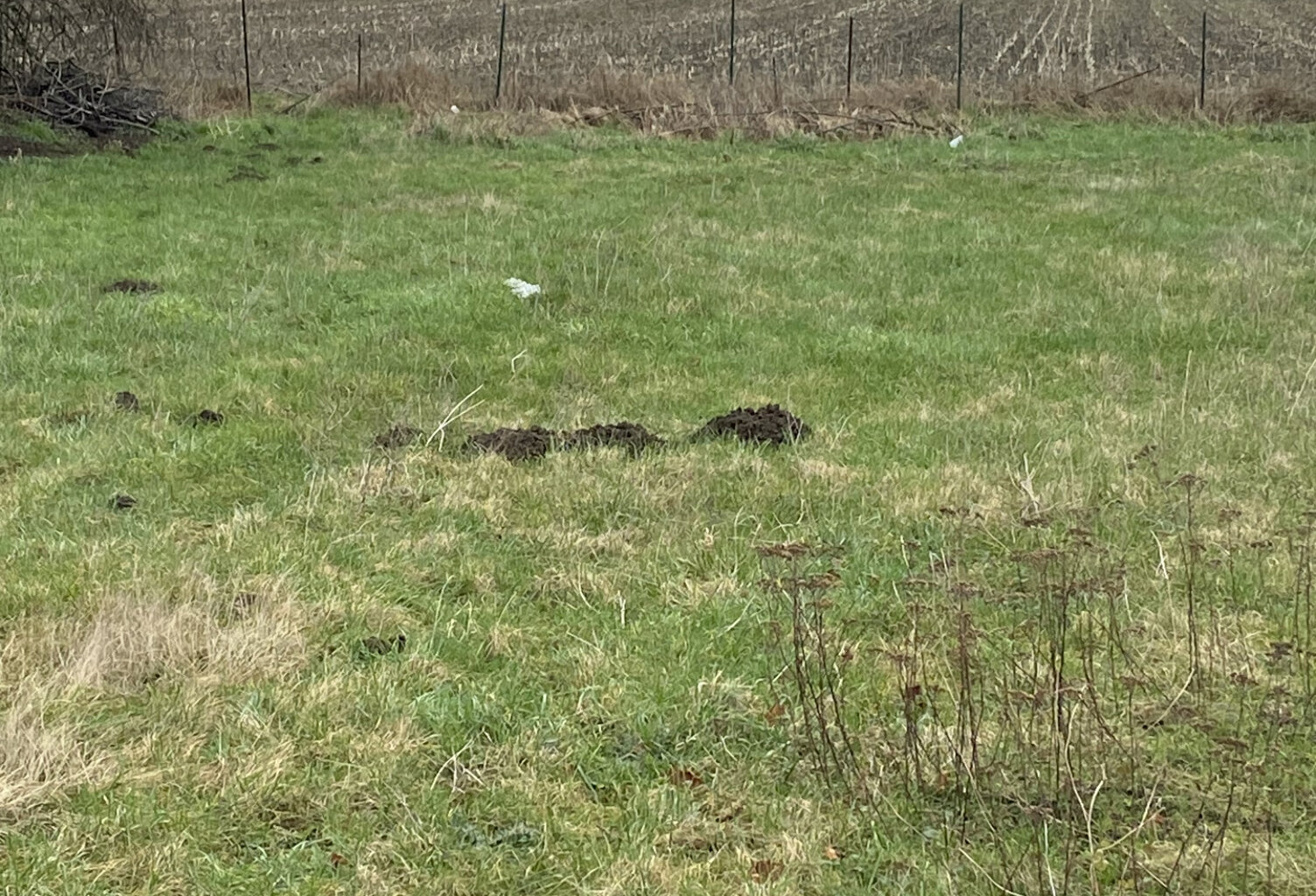 À Leforest, terrain de 880m2 en second  rang à acheter avec — photo 1