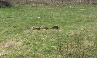 Terrain  880 m² à vendre à Leforest (62790)