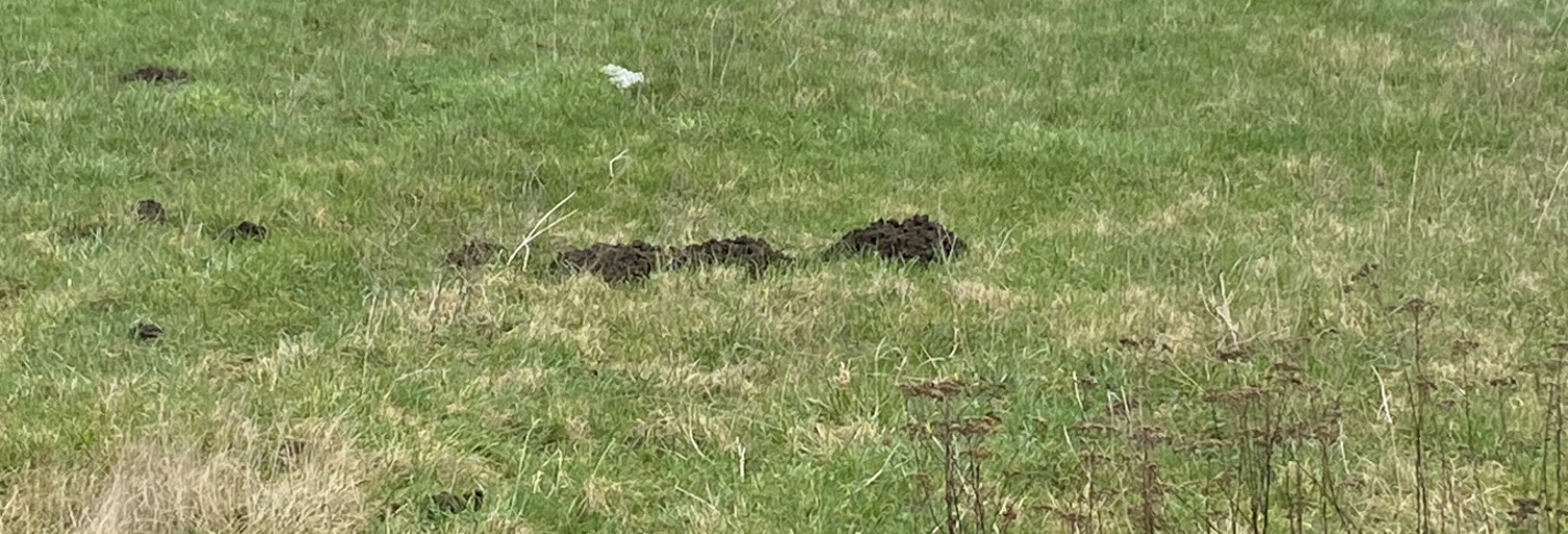 Terrain  880 m² à vendre à Leforest (62790)