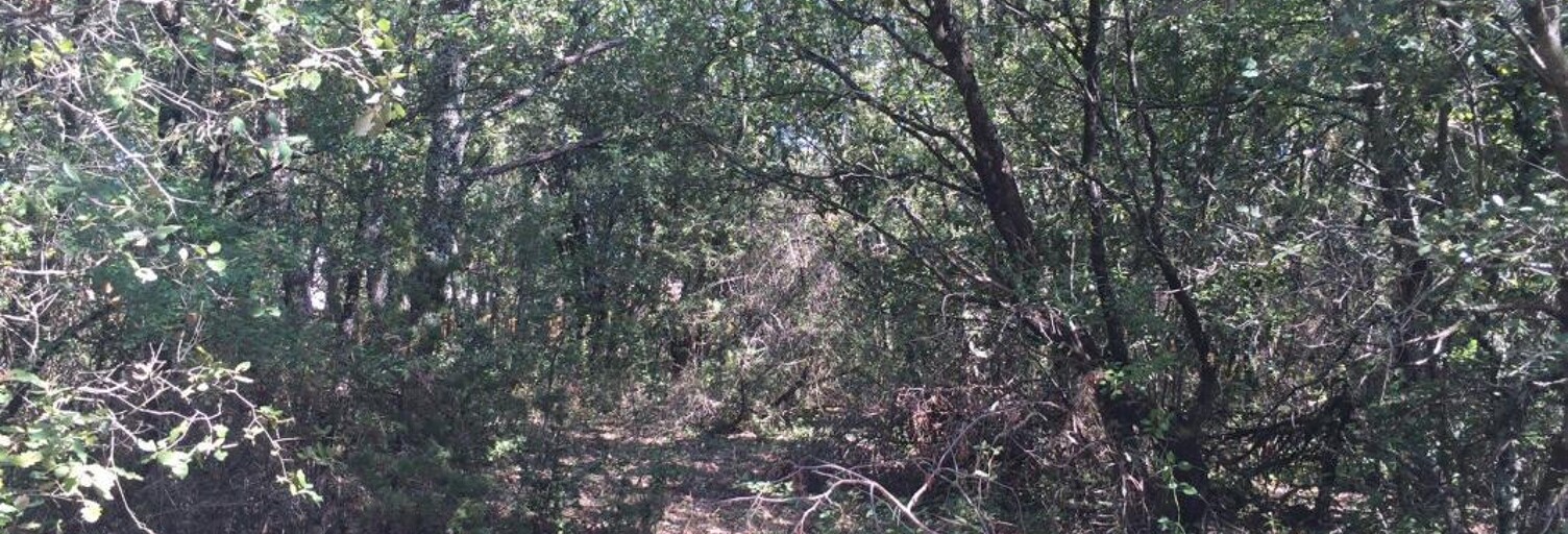 Terrain  2002 m² à vendre à Labastide-de-Virac (07150)