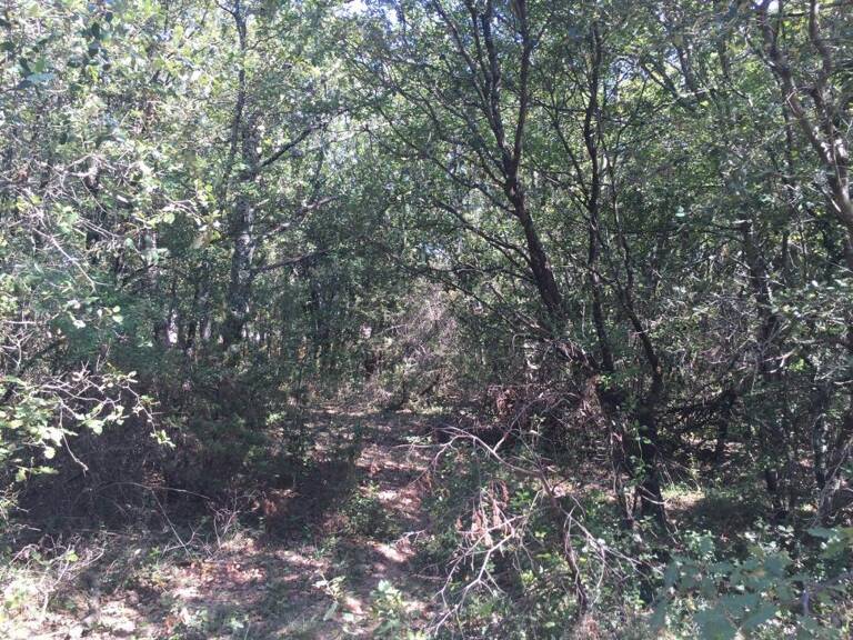 Terrain À Vendre à Labastide-De-Virac 2002m² en Ardèche Méridionale — photo 1