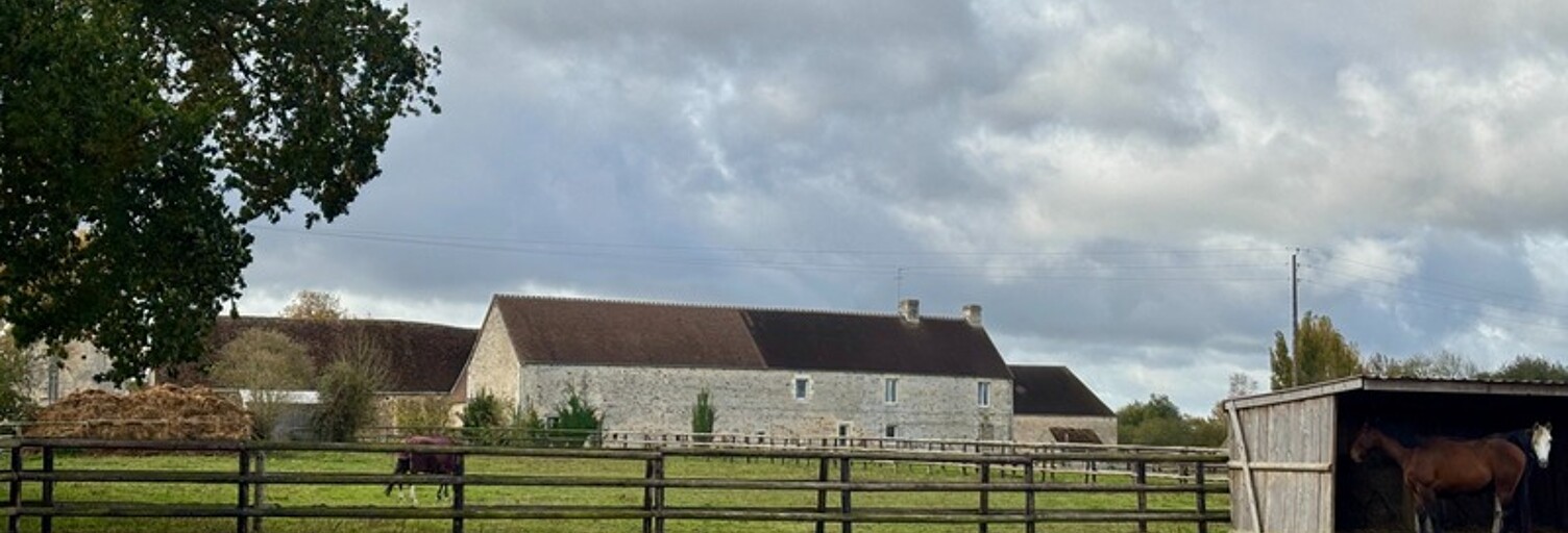 Commerce 6 Pièces 153 m² à vendre à Avoine (61150)