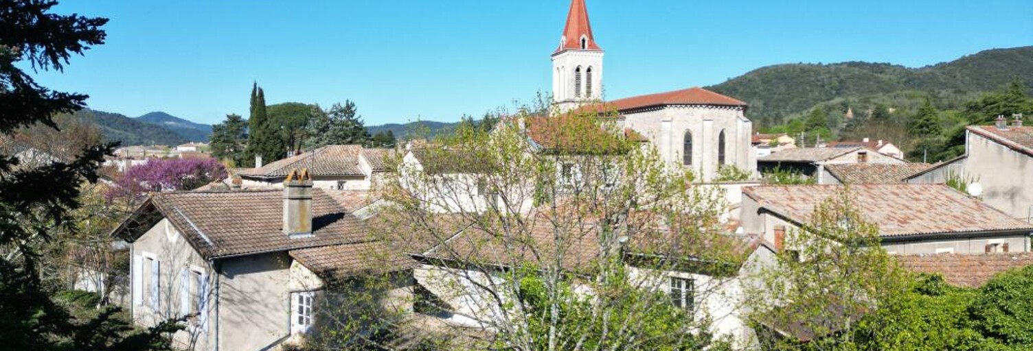 Maison 6 Pièces 343 m² à vendre à Saint-Laurent-du-Pape (07800)