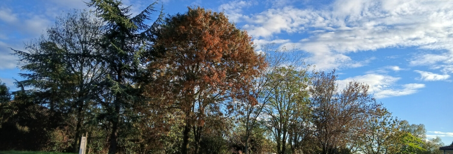 Terrain  676 m² à vendre à Thil (31530)