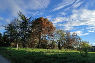 Terrain  75000 €