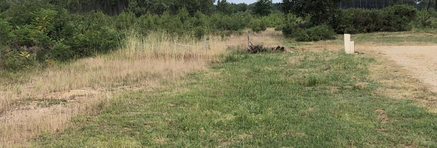 Maison 90 m² à construire Mios (33380)