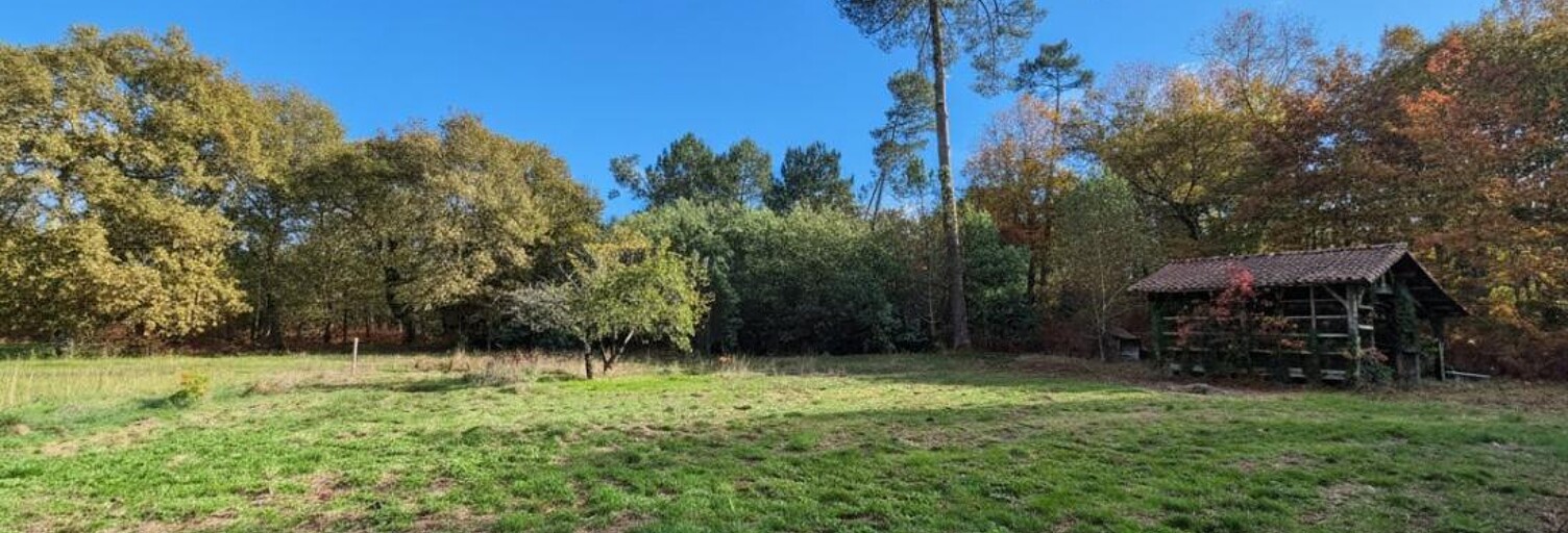 Maison 9 Pièces 223 m² à vendre à Sabres (40630)