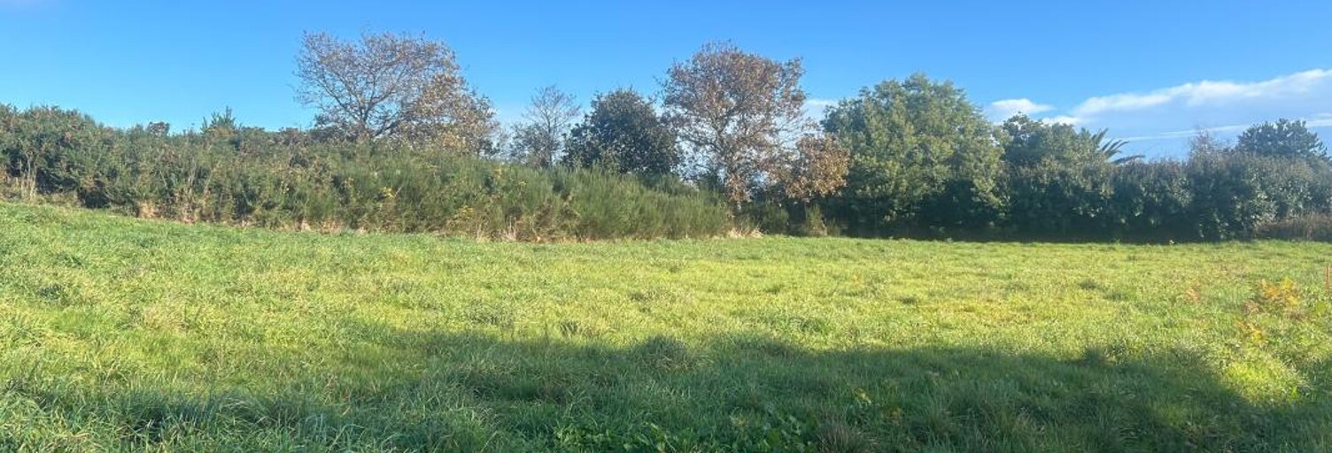 Terrain  985 m² à vendre à Pleumeur-Bodou (22560)