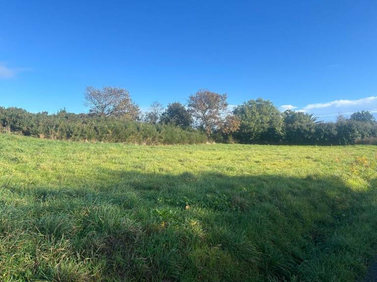 Terrain À Vendre — photo 1