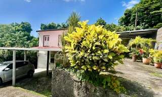 Maison 9 Pièces 239 m² à vendre à Le Morne-Vert (97226)