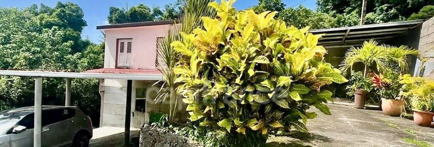 Maison 9 Pièces 239 m² à vendre à Le Morne-Vert (97226)