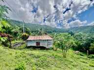 Ensemble immobilier à vendre au MORNE-VERT (972) — photo 4