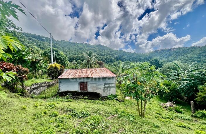 Ensemble immobilier à vendre au MORNE-VERT (972) — photo 4