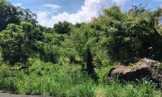 Terrain  4268 m² à vendre à Pointe-Noire (97116)