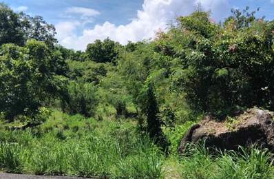 TERRAIN ~ 4 276M2 MORPHY 97116 300 000€ — photo du bien
