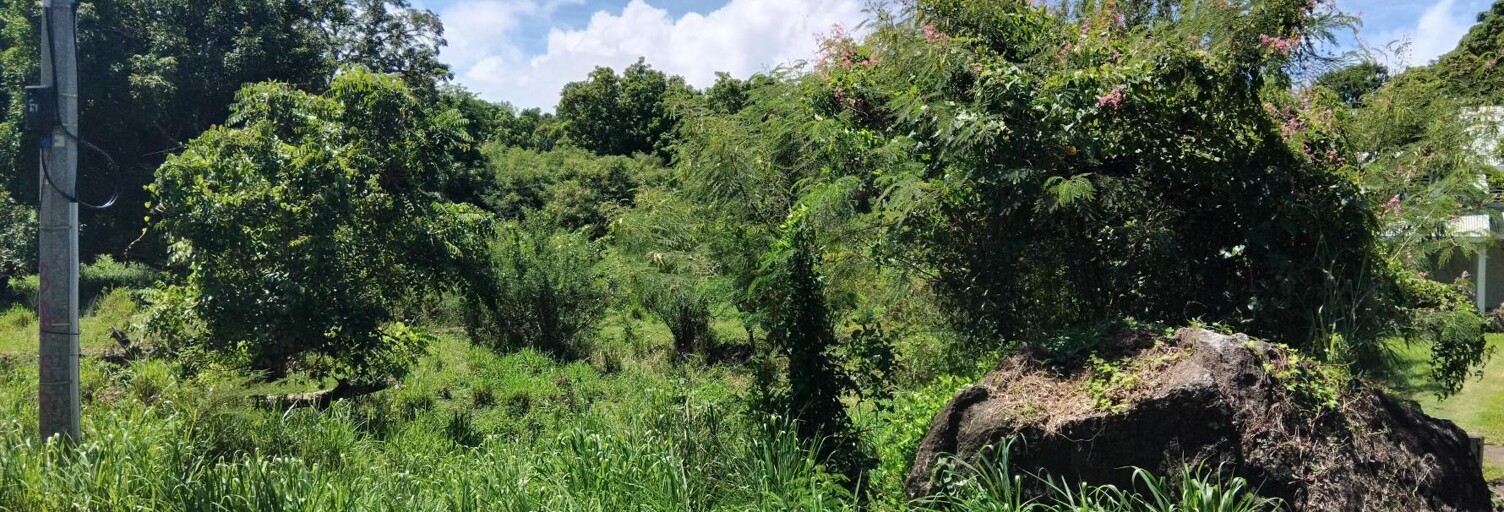 Terrain  4268 m² à vendre à Pointe-Noire (97116)