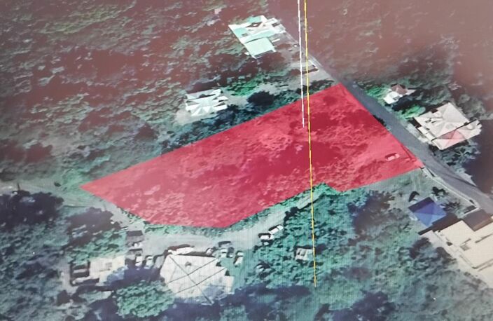 TERRAIN ~ 4 276M2 MORPHY 97116 300 000€ — photo 5