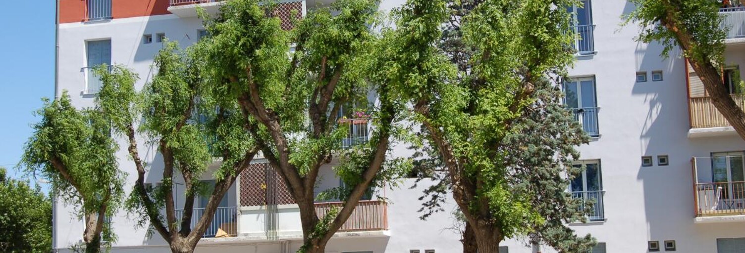 Appartement 2 Pièces 44 m² à louer à Avignon (84140)