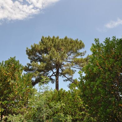 Maison 5 pièces 1730000 €