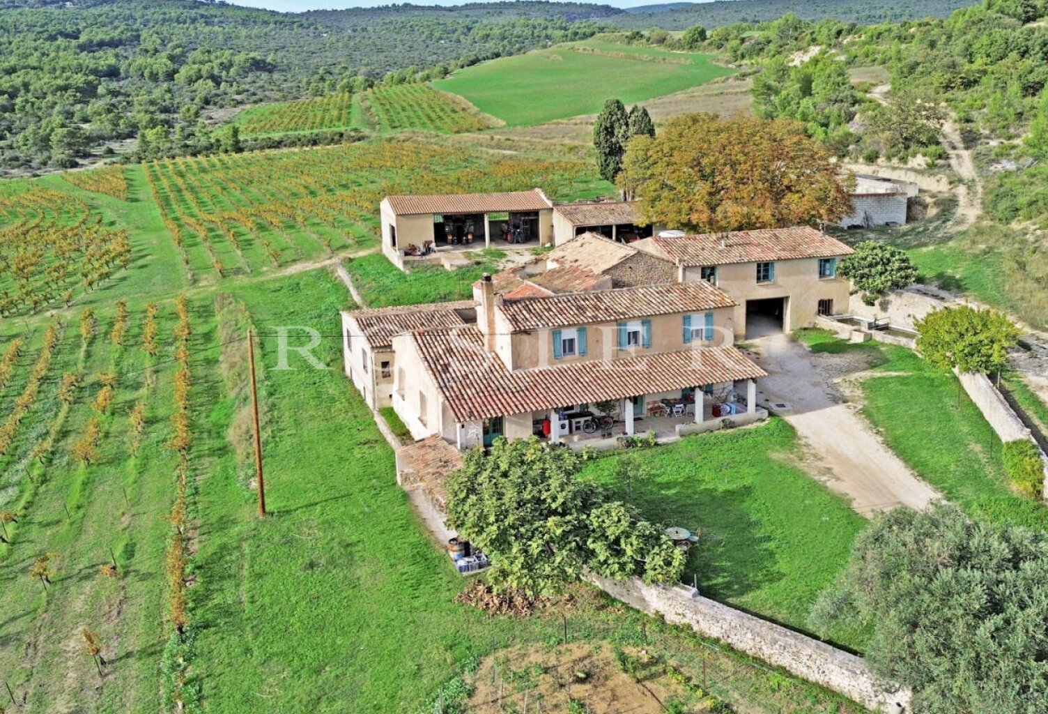 Domaine viticole et oléicole sur 73 hectares au coeur du Luberon — photo 1