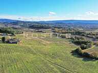 Domaine viticole et oléicole sur 73 hectares au coeur du Luberon — photo 2