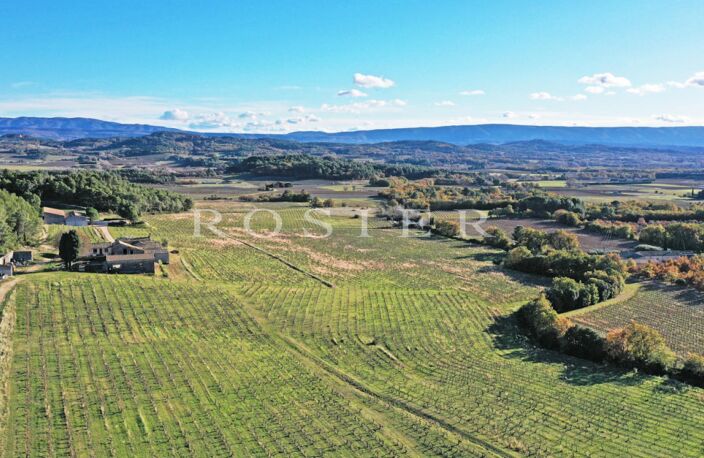 Domaine viticole et oléicole sur 73 hectares au coeur du Luberon — photo 2