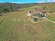 Domaine viticole et oléicole sur 73 hectares au coeur du Luberon — photo 3