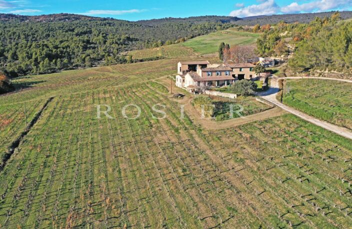 Domaine viticole et oléicole sur 73 hectares au coeur du Luberon — photo 3