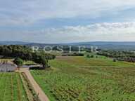 Domaine viticole et oléicole sur 73 hectares au coeur du Luberon — photo 4