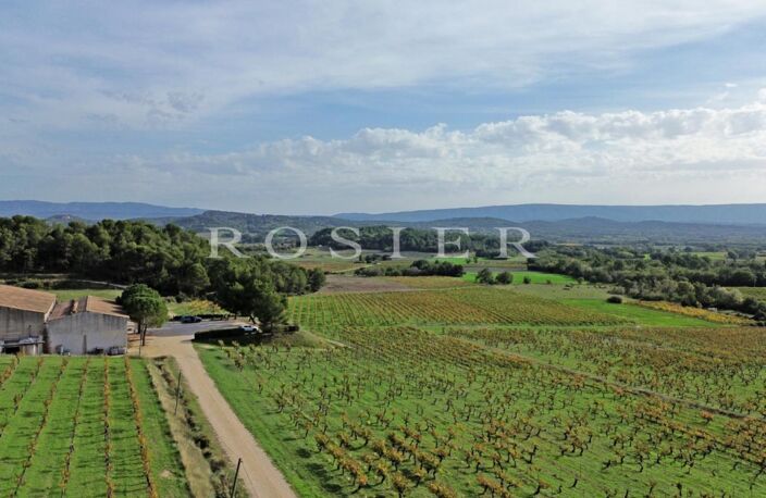 Domaine viticole et oléicole sur 73 hectares au coeur du Luberon — photo 4