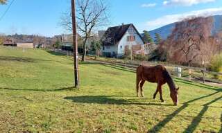 Terrain  502 m² à vendre à Lutzelhouse (67130)