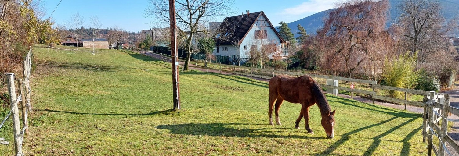 Terrain  502 m² à vendre à Lutzelhouse (67130)