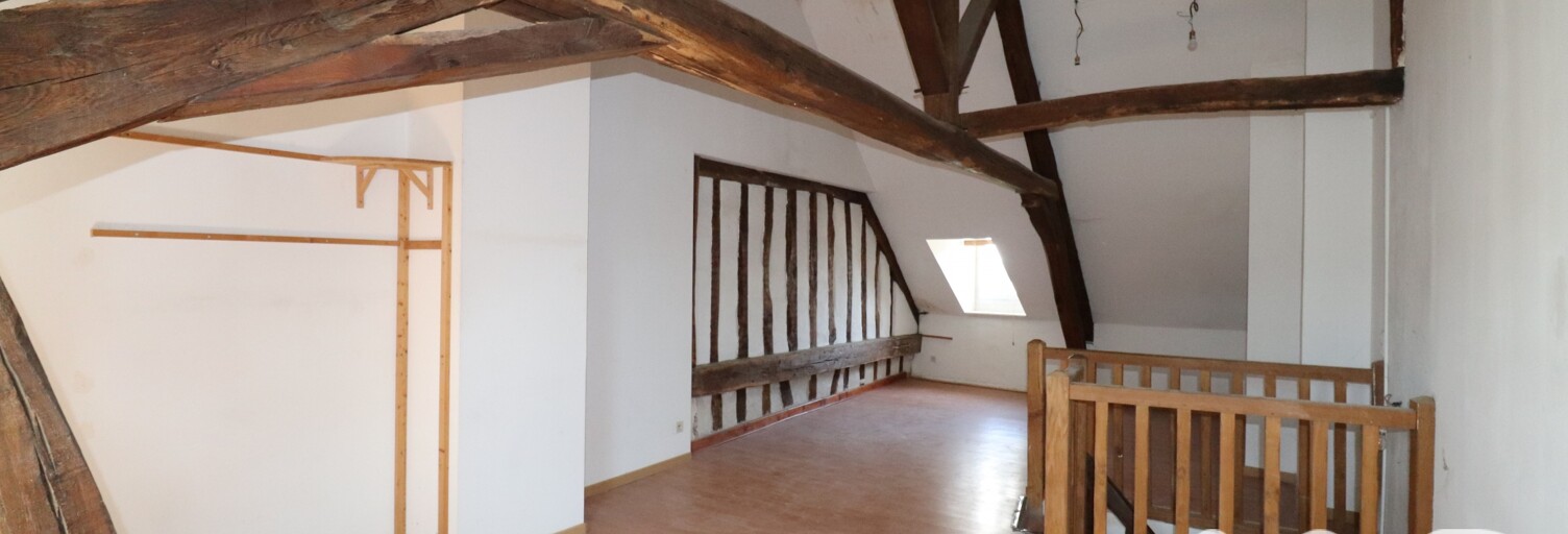 Immeuble  141 m² à vendre à Sully-sur-Loire (45600)