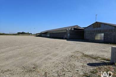 Commerce  250000 €