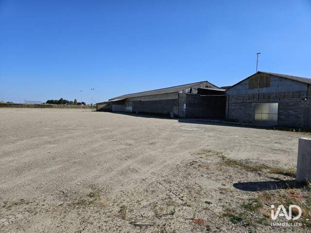 Vente Murs commerciaux 1 250 m&sup2; — photo du bien