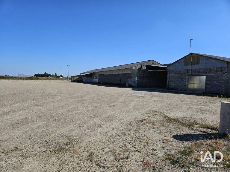 Vente Murs commerciaux 1 250 m&sup2; — photo 1
