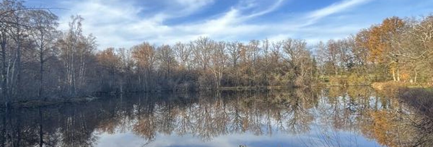 Maison 5 Pièces 97 m² à vendre à Peyrat-de-Bellac (87300)