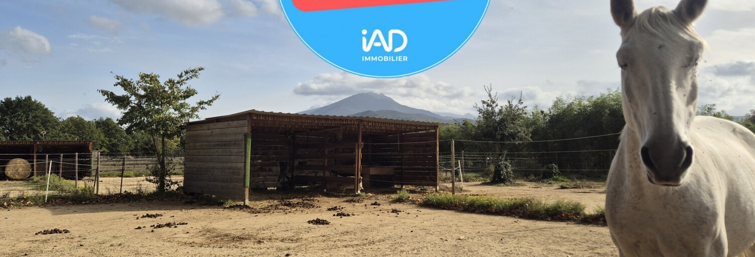 Maison 4 Pièces 132 m² à vendre à Saint-Jean-Pla-de-Corts (66490)