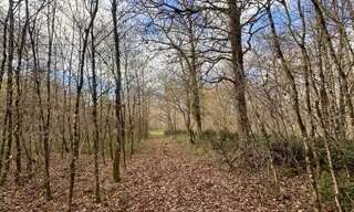 Terrain  119780 m² à vendre à Fontaines-en-Sologne (41250)