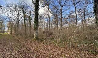 Terrain  119780 m² à vendre à Fontaines-en-Sologne (41250)