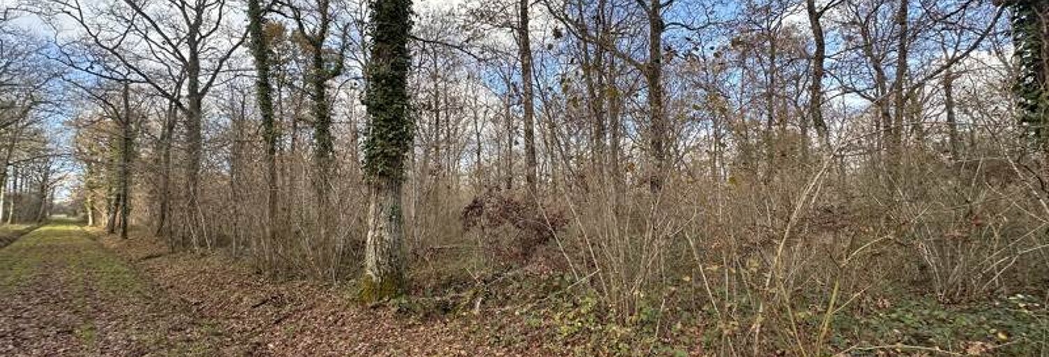Terrain  119780 m² à vendre à Fontaines-en-Sologne (41250)