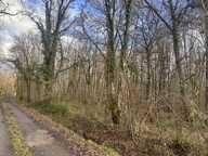 Forêt de 0 pièces principales — photo 2
