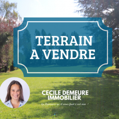 Terrain  245000 €