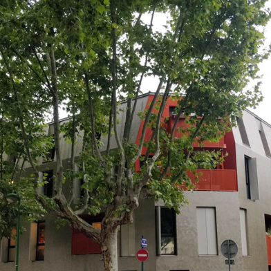 Appartement 3 pièces 299000 €